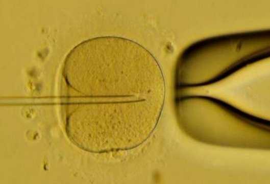“借卵代怀包男孩”可信吗：违法营销信号识别